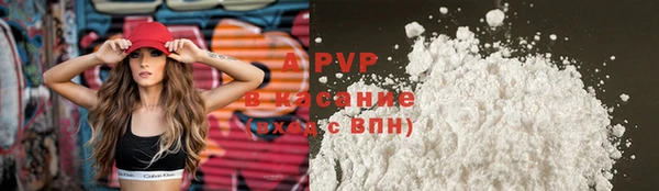 Альфа ПВП Инсар