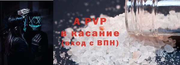 прущие грибы Зеленодольск