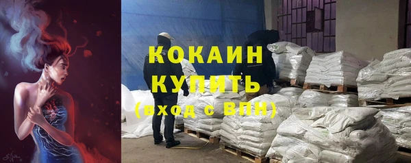 спайс Ельня