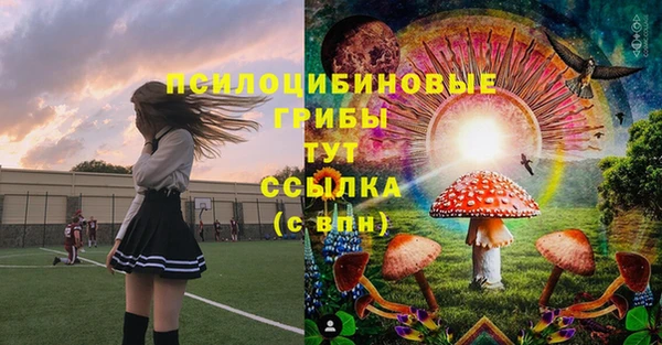 прущие грибы Зеленодольск