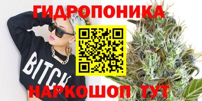 a pvp Кимры