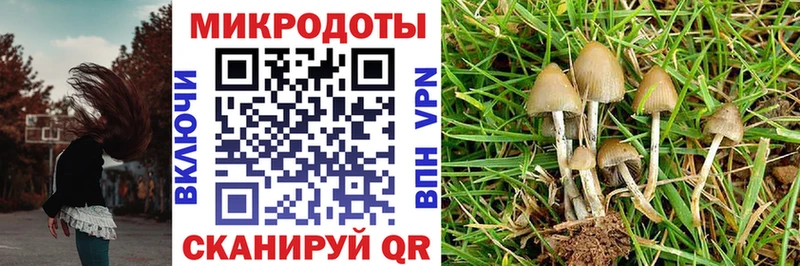Псилоцибиновые грибы ЛСД  kraken ССЫЛКА  Котовск 