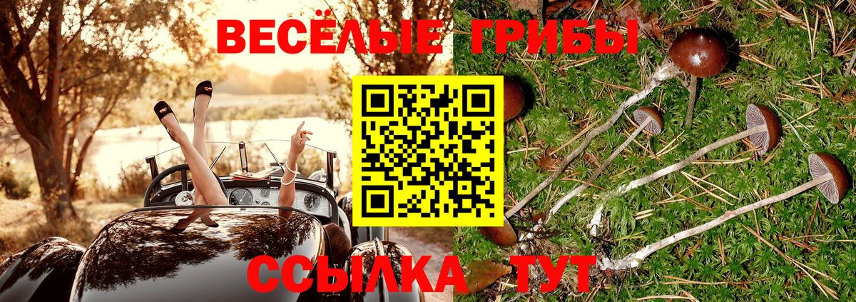 Псилоцибиновые грибы мухоморы  Галлюциногенные грибы Psilocybe  Котовск  Вход с VPN 